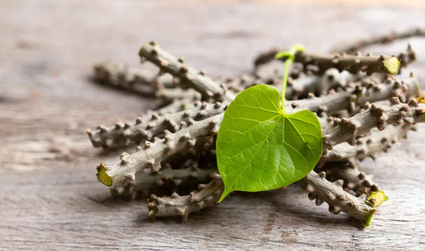 GUDUCHI CAPSULES
